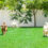 Creating Your Dog’s Dream Backyard